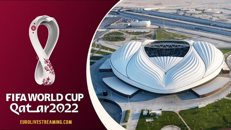 FIFA World Cup 2022 Venues and Stadiums in Qatar